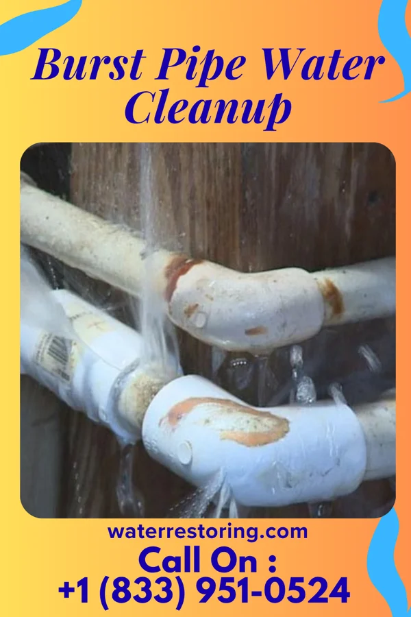 Burst Pipe Water Cleanup in Roosevelt, MN
