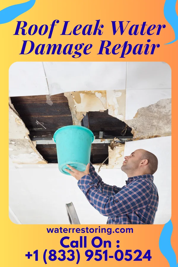 Roof Leak Water Damage Repair in Roosevelt, MN