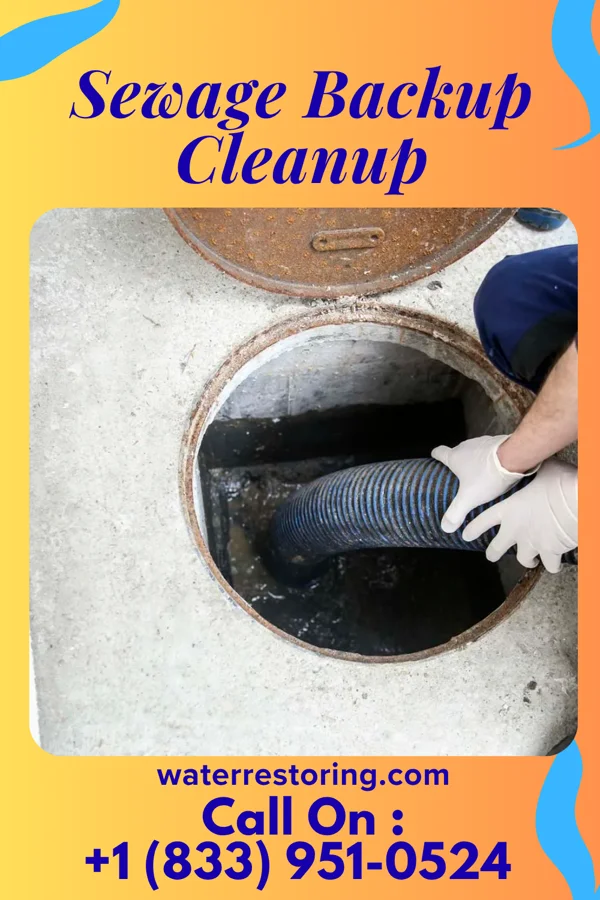 Sewage Backup Cleanup in Roosevelt, MN